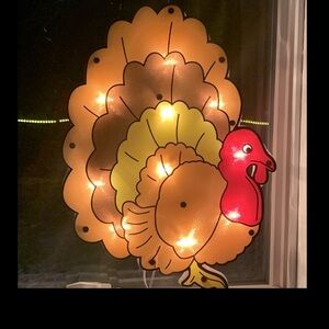 Decoration Lighted Turkey